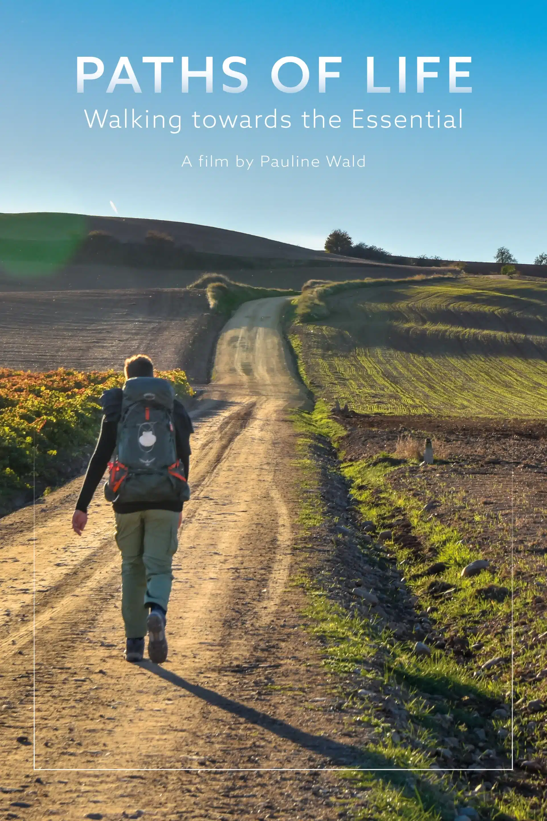 affiche du film paths of life