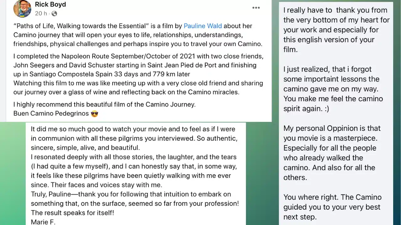 feedback about the movie